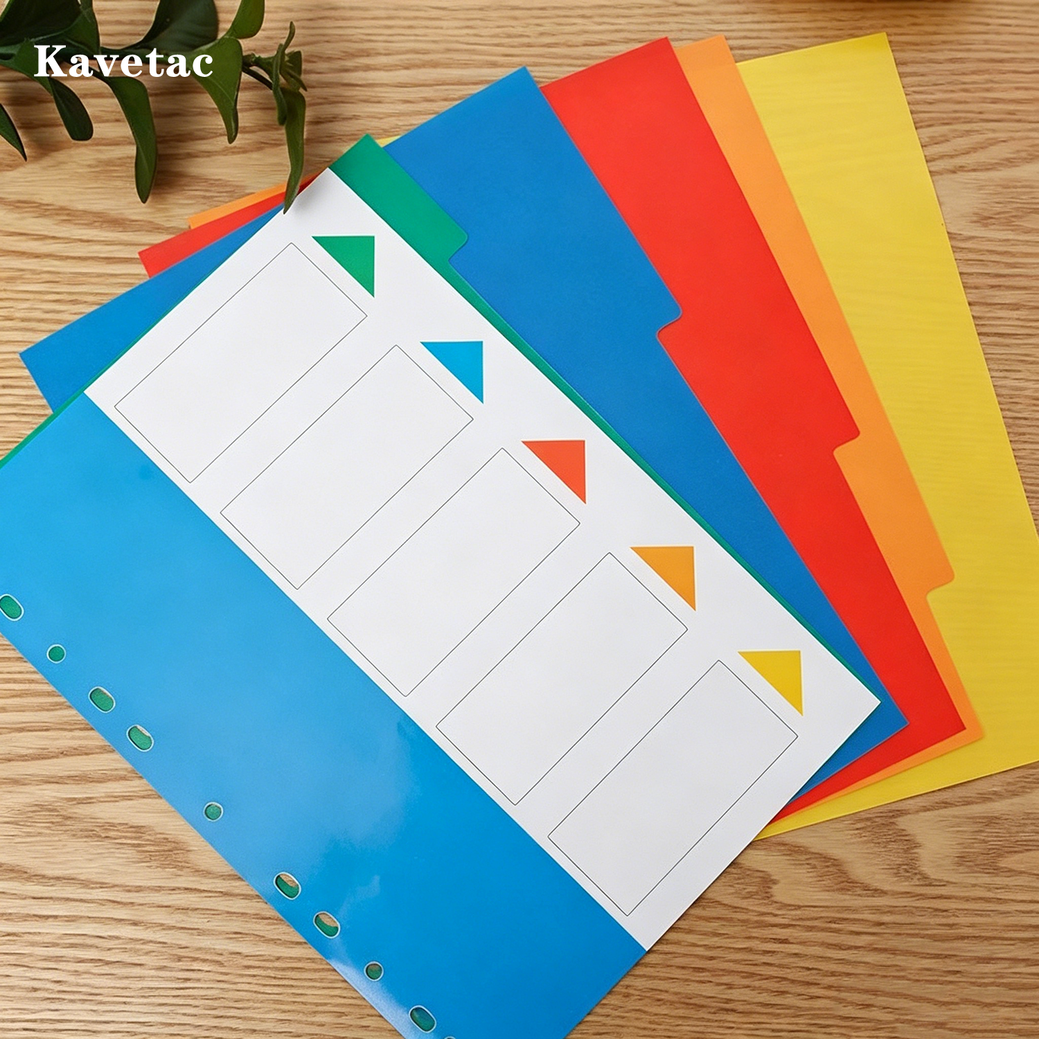 KAVETAC Colorful Directory Paper Tabs, Reusable Binder Dividers for School & Office Organization